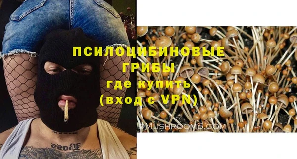 спиды Алзамай