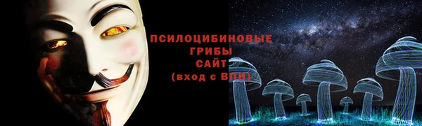 крисы Наволоки