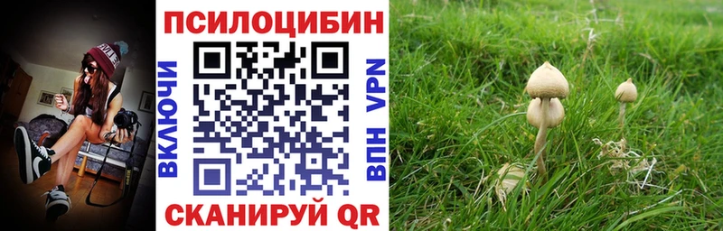 Галлюциногенные грибы GOLDEN TEACHER Павловская
