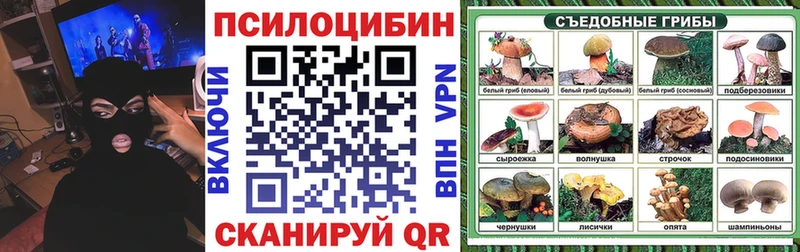 Галлюциногенные грибы Psilocybe  где найти   Павловская 